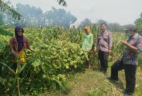 Bhabinkamtibmas Polsek Baron cek perkembangan lahan pekarangan