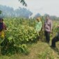 Bhabinkamtibmas Polsek Baron cek perkembangan lahan pekarangan
