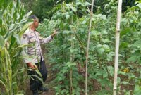 Polres Nganjuk cek pemanfaatan lahan pekarangan