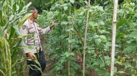 Polres Nganjuk cek pemanfaatan lahan pekarangan