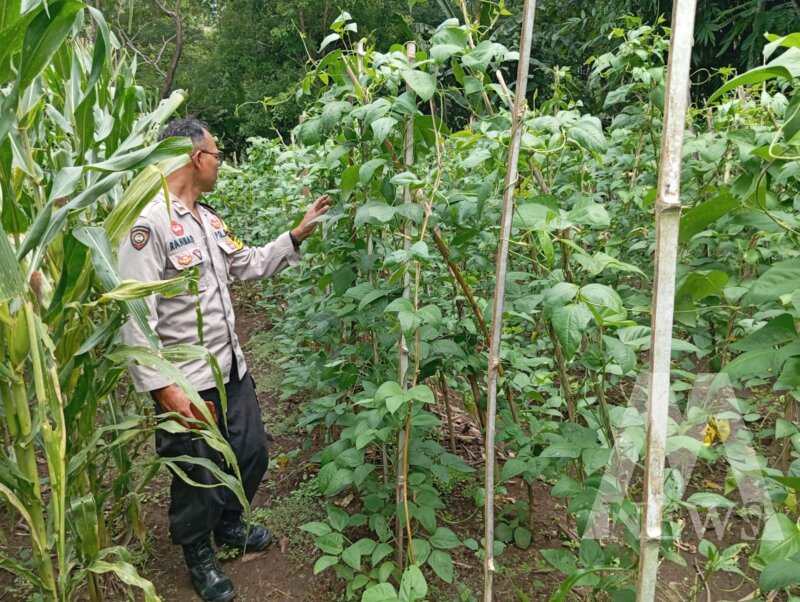 Polres Nganjuk cek pemanfaatan lahan pekarangan