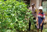 Polsek Sawahan cek lahan pekarangan