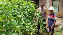 Polsek Sawahan cek lahan pekarangan