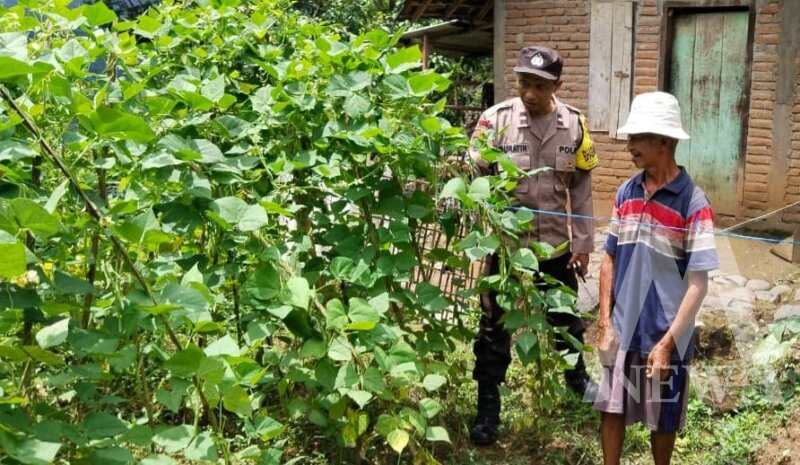 Polsek Sawahan cek lahan pekarangan