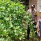 Polsek Sawahan cek lahan pekarangan