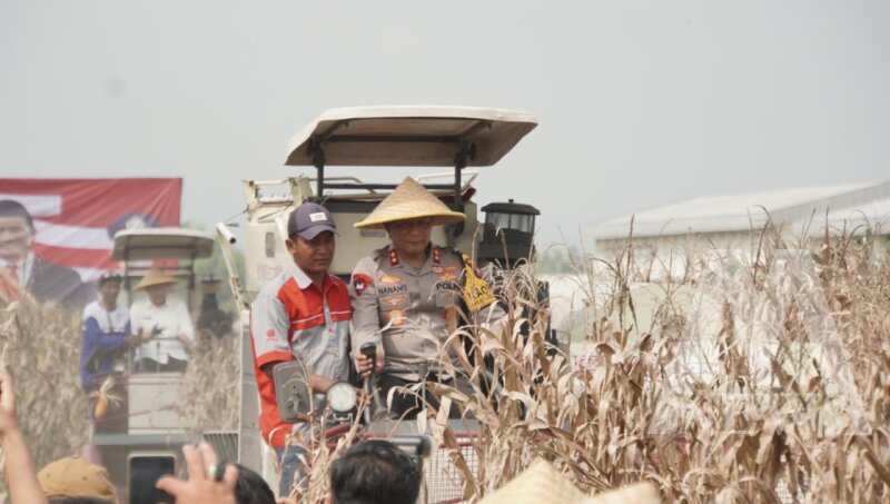 Kapolda Jatim Irjen Pol Drs Nanang Avianto saat panen Jagung
