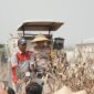 Kapolda Jatim Irjen Pol Drs Nanang Avianto saat panen Jagung