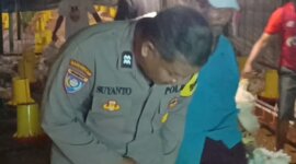 Bhabinkamtibmas Wates Cek Hewan Ternak
