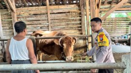 Polsek Lengkong cek peternakan warga