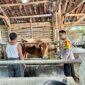 Polsek Lengkong cek peternakan warga