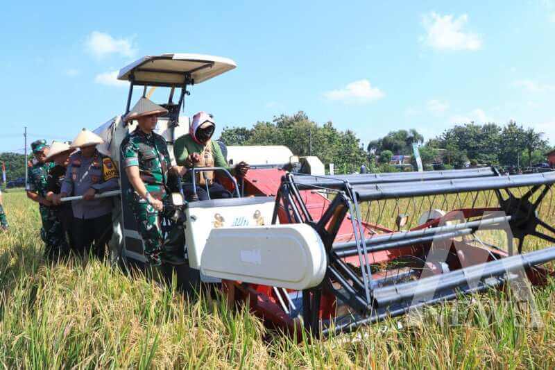 Kapolda Jatim Irjen Pol Drs. Nanang Avianto bersama Forkopimda Jatim Panen Raya Padi