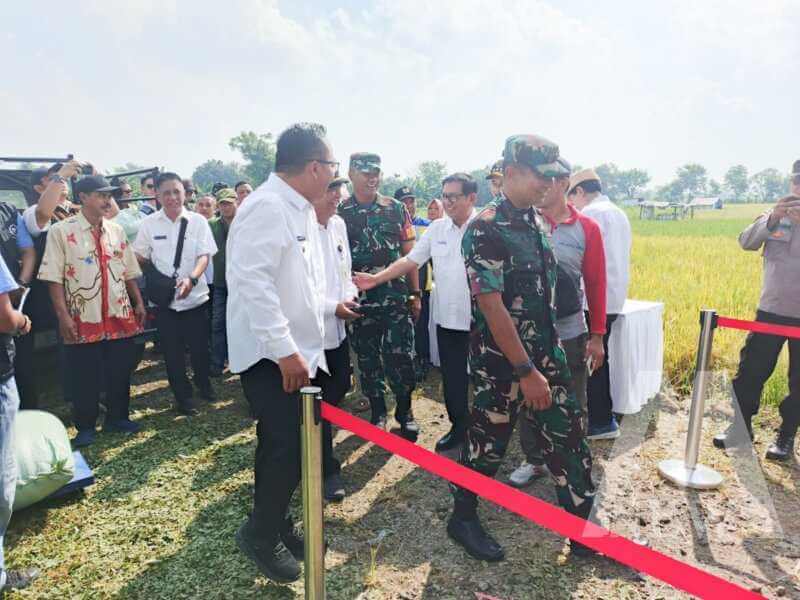 Danrem 084/BJ Brigjen TNI Danny Alkadrie di acara Panen Raya Padi