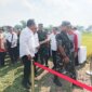 Danrem 084/BJ Brigjen TNI Danny Alkadrie di acara Panen Raya Padi