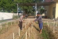Polsek Taman Krocok tanam cabe di pekarangan Polsek
