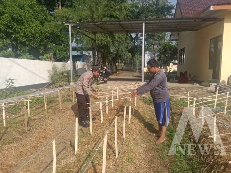 Polsek Taman Krocok tanam cabe di pekarangan Polsek