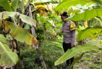 Bhabinkamtibmas Polsek Prambon cek pekarangan