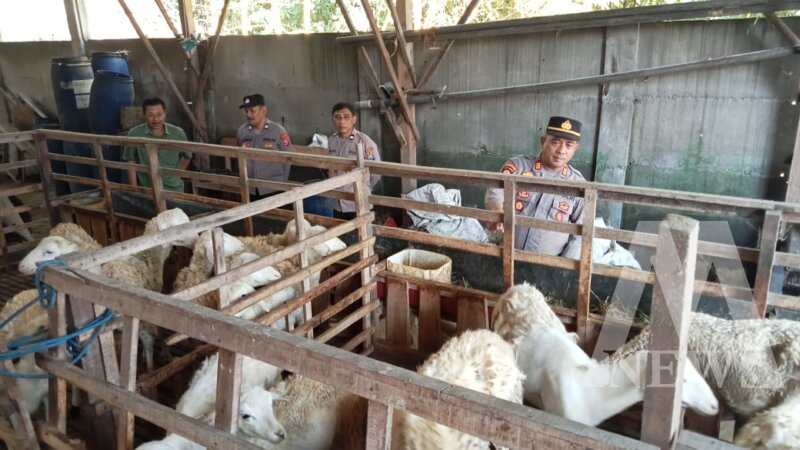 Polsek Berbek cek perkembangan ternak warga Sonopatik