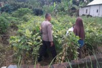Bhabinkamtibmas Polsek Baron cek lahan pekarangan warga