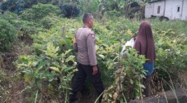 Bhabinkamtibmas Polsek Baron cek lahan pekarangan warga