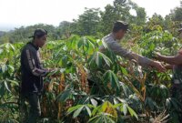 Bhabinkamtibmas dan Babinsa penggerak Ketahanan Pangan Nasional