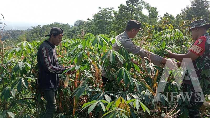 Bhabinkamtibmas dan Babinsa penggerak Ketahanan Pangan Nasional
