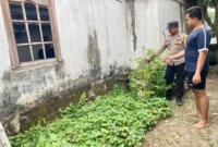 Bhabinkamtibmas Polsek Loceret Cek Tanaman Cabai