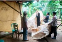 Polsek Ngronggot bongkar tempat judi sabung ayam