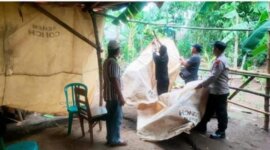 Polsek Ngronggot bongkar tempat judi sabung ayam