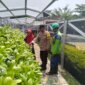 Bhabinkamtibmas cek tanaman Hidroponik milik warga