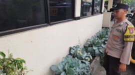 Polsek Patianrowo cek perkembangan tanaman sayuran