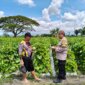 Polsek Wilangan cek tanaman melon