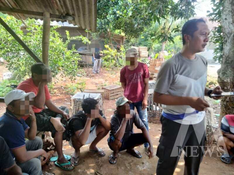 Polsek Ujungpangkah gerebek lokasi judi sabung ayam