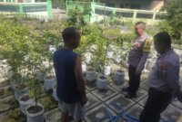 Polsek Ngetos cek pekarangan sayur warga
