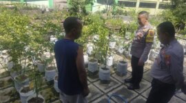 Polsek Ngetos cek pekarangan sayur warga