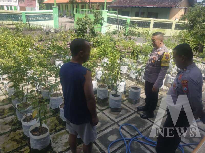 Polsek Ngetos cek pekarangan sayur warga