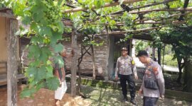 Polsek Patianrowo sambangi kebun anggur warga