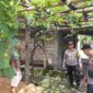 Polsek Patianrowo sambangi kebun anggur warga
