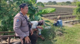 Polsek Lengkong saat cek lahan persawahan warga