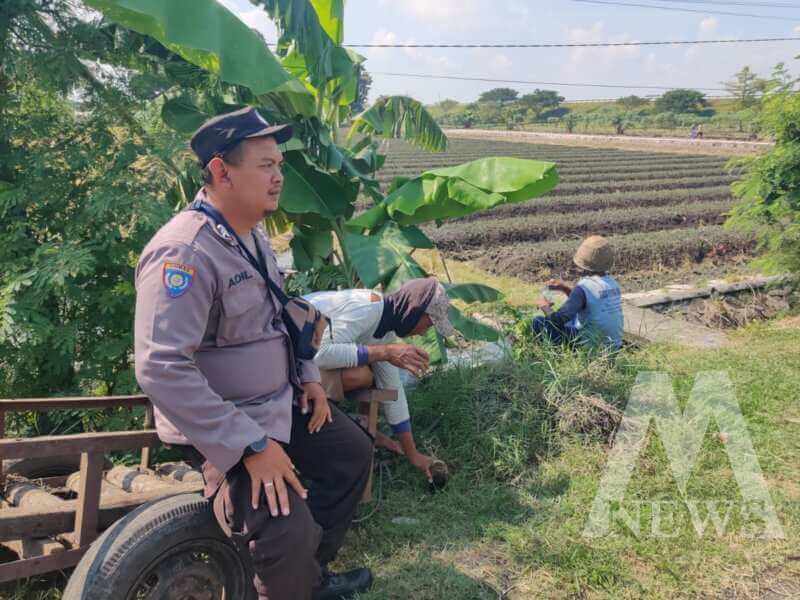 Polsek Lengkong saat cek lahan persawahan warga