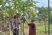 Bhabinkamtibmas Polsek Berbek cek pekarangan warga di Sonopatik