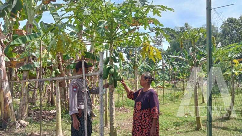 Bhabinkamtibmas Polsek Berbek cek pekarangan warga di Sonopatik