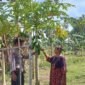 Bhabinkamtibmas Polsek Berbek cek pekarangan warga di Sonopatik