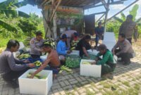 Polsek Kenjeran dukung ketahanan pangan nasional