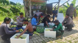 Polsek Kenjeran dukung ketahanan pangan nasional
