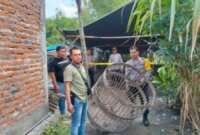 Polsek Bagor bongkar arena judi sabung ayam