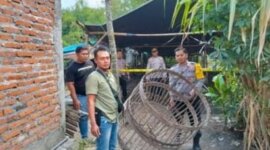 Polsek Bagor bongkar arena judi sabung ayam