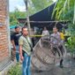 Polsek Bagor bongkar arena judi sabung ayam
