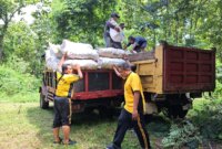 Polsek Wilangan bantu panen jagung