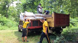 Polsek Wilangan bantu panen jagung