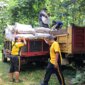 Polsek Wilangan bantu panen jagung